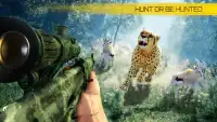 3D Sniper Hunter : Wild Safari Screen Shot 0