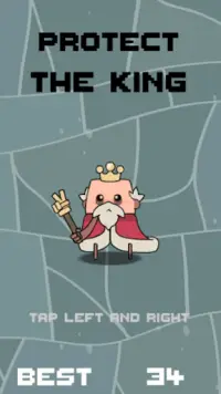 PROTECT THE KING Screen Shot 0