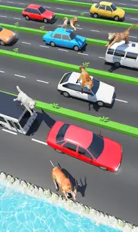 Animal Pets Traffic Highway Cross Screen Shot 2