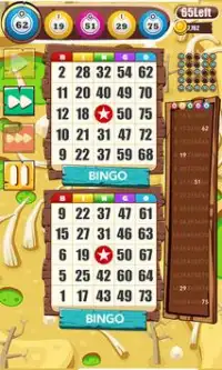 Bingo Bonus Frenzy - Offline Bingo Screen Shot 5