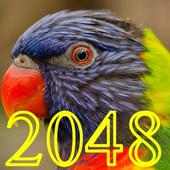 2048 Animals
