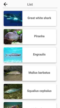 Animals - Quiz about Mammals! Screen Shot 4