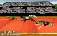 гонка с собаками гоночная игра Screen Shot 2