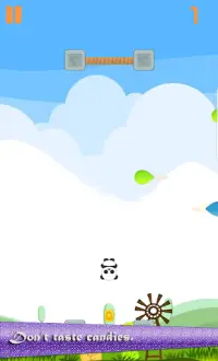 Bouncing Panda : Free Tap Game Screen Shot 1