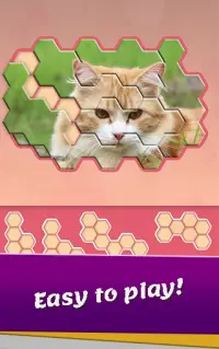 Block hexa puzzle - Animals Jigsaw Screen Shot 3