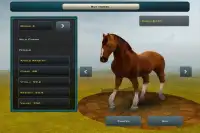 Race Horses Champions 2 Screen Shot 0