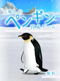 癒しのペンギン育成ゲーム Screen Shot 0