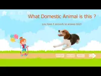 100 Animals and Birds for kids Screen Shot 22
