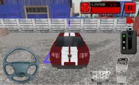 Bất xe Đỗ xe miễn phí trò chơi Screen Shot 5