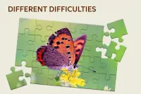 Butterfly Puzzles - Kids Jigsaw Puzzles Screen Shot 1