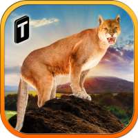 Mountain Lion: Wild Cougar 3D
