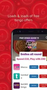 Free Bingo Guide Screen Shot 0