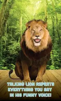 Talking Lion Screen Shot 0