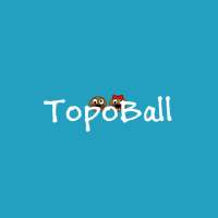 Topo Ball Adventure