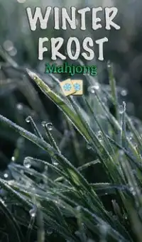 Mahjong oculto: Winter Frost Screen Shot 3