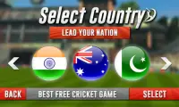 Cricket World Cup 2018 - Cricket Champion League Screen Shot 2