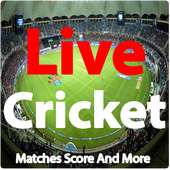 Live Cricket Matches- Scores & More