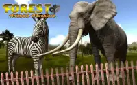 VR animales del bosque aventur Screen Shot 3
