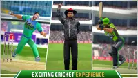 Campionato pakistan di cricket Screen Shot 1