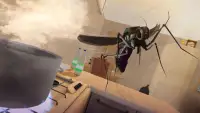 फ्लाइंग कीट मच्छर होम लाइफ सिम 3 डी Screen Shot 3