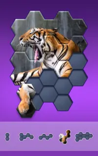 Hexa Jigsaw Puzzle ® Screen Shot 8
