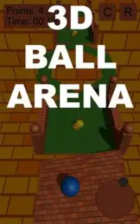 3D Ball Arena Screen Shot 0