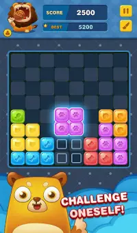 Block Puzzle - Classic Puzzle  Screen Shot 11