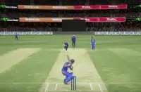 Cricket 2019 Screen Shot 4