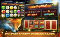 Cats Dogs Slots&Slot machines Screen Shot 3