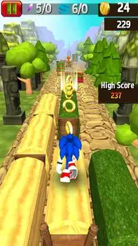 Temple Sonic Run 3D Screen Shot 2