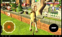 Singa Simulator 3D Screen Shot 3