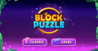 Block Puzzle - 블럭 퍼즐 Screen Shot 13