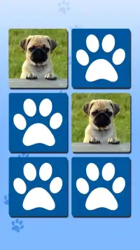 Puppy Games Kids - Cool Puppies for Cool Kids Screen Shot 2