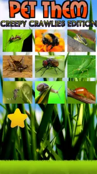สัตว์เลี้ยงพวกเขา: ฉบับแมลง Screen Shot 0