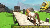 Little Pony Horse Run 2021 Screen Shot 2