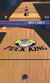 Shuffleboard King Screen Shot 7