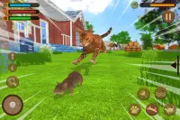 Cat Family Simulator 2021 Screen Shot 10