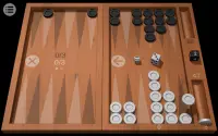 Odesys Backgammon Screen Shot 7