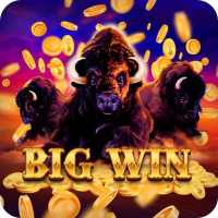 Big Win Buffalo