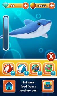 Dolphin Dash Screen Shot 8