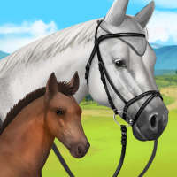 Equideow - jeu gratuit d'élevage de chevaux
