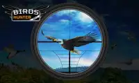 Birds Hunter 2017 Screen Shot 2