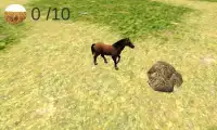Horse Life Screen Shot 1