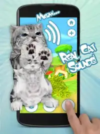 猫 面白いアプリ Screen Shot 1