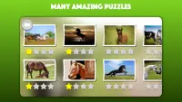 Horse and Pony jigsaw puzzles Screen Shot 1