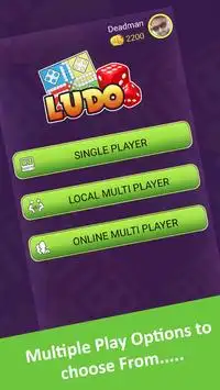 Ludo Multiplayer Screen Shot 2