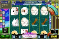 Cute Pets FFS Fun Free Slots ™ Screen Shot 0