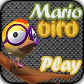 Mario Bird