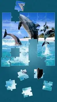 Dolphins Jigsaw Puzzle Screen Shot 4