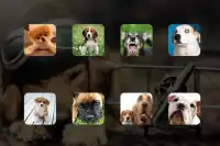 Dog Sounds Game Screen Shot 0